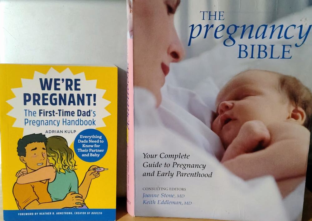 New Pregnancy Book Bundle Lot First Time Dad Handbook & Pregnancy Bible 2 Books